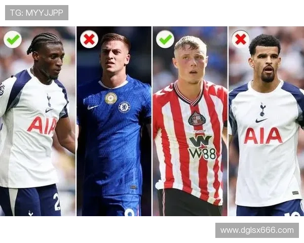 英超梦幻足球:冲刺阶段桑德兰球员关注推荐 英超梦幻足球:冲刺阶段桑德兰球员关注推荐